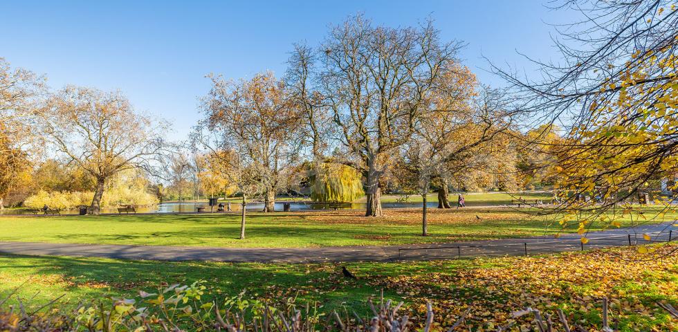 			STUNNING APARTMENT NEAR REGENTS PARK!, 1 Bedroom, 1 bath, 1 reception Flat			 Clarence Terrace, REGENTS PARK-MARYLEBONE